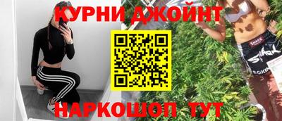 гашик Кулебаки