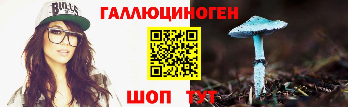 Псилоцибиновые грибы GOLDEN TEACHER  Вход с VPN  Ковров  Псилоцибиновые грибы MAGIC MUSHROOMS 