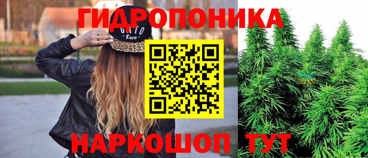 Ковров  Конопля семена  Вход с VPN  Бошки Шишки Ganja  Канабис планчик 